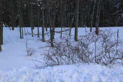 ir-110127_15-28_0714.jpg