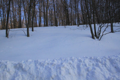 ir-110127_15-33_0717.jpg