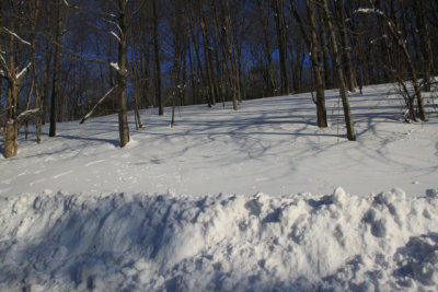 ir-110127_15-34_0719.jpg