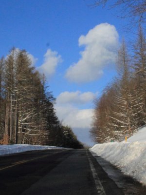 ir-110127_15-35_0723P.jpg