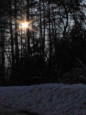 ir-110127_15-42_0730P.jpg