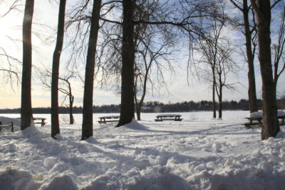 ir-110131_15-09_0790.jpg