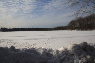 ir-110131_15-12_0795.jpg