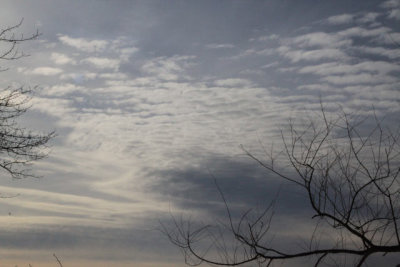 ir-110131_15-14_0797.jpg
