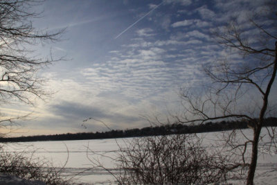 ir-110131_15-14_0799.jpg