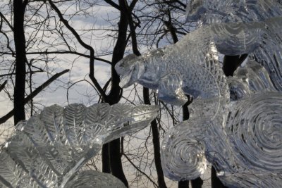 ir-110131_15-18_0804.jpg