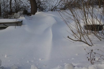 ir-110131_15-38_0809.jpg