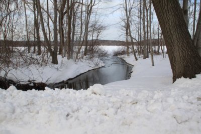 ir-110131_16-03_0816.jpg