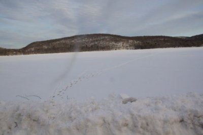 ir-110131_16-10_0818.jpg