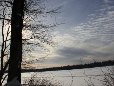 ir-110131_15-14_0798L.jpg