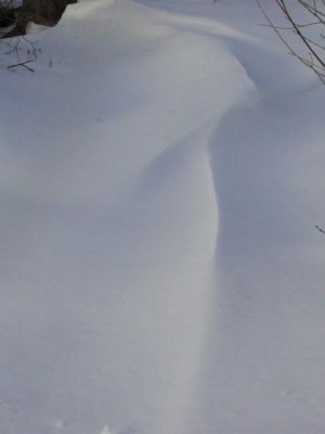 ir-110131_15-38_0809Pstmp.jpg