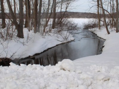 ir-110131_16-03_0816L.jpg