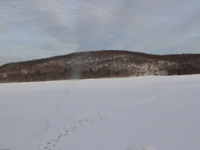 ir-110131_16-10_0818Lstmp.jpg