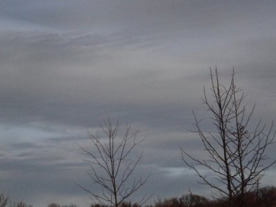 ir-110131_16-19_0822Lstmp.jpg