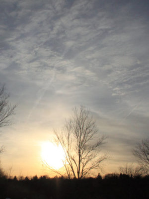 ir-110131_16-26_0823P.jpg