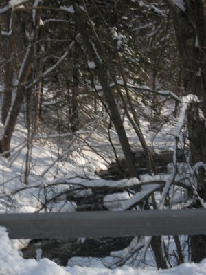 ir-DSCN1016.jpg