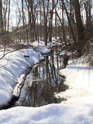 ir-110208_15-03_0861P.jpg