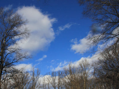 ir-110208_15-24_0869L.jpg