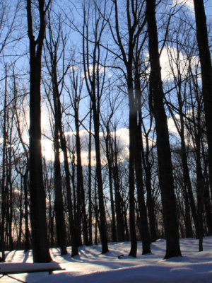 ir-110208_15-54_0881P.jpg