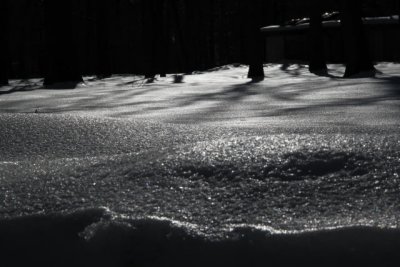 ir-110208_14-22_0840.jpg