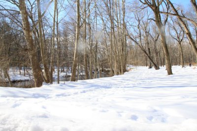ir-110208_14-33_0850.jpg