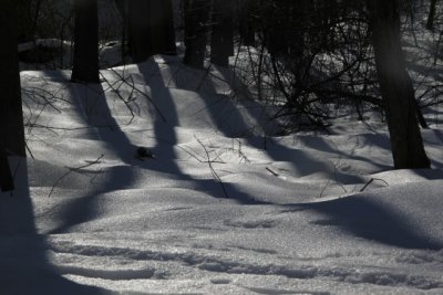 ir-110208_14-38_0853.jpg