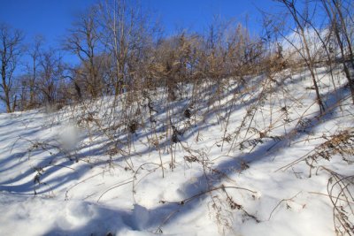 ir-110208_14-51_0857.jpg