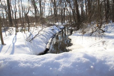 ir-110208_15-03_0861.jpg