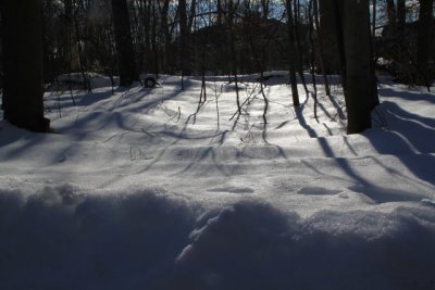 ir-110208_15-04_0862.jpg