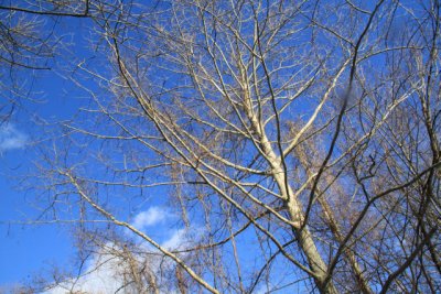 ir-110208_15-19_0867.jpg