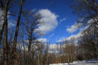 ir-110208_15-24_0869.jpg