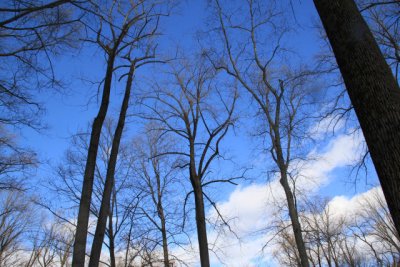 ir-110208_15-28_0870.jpg