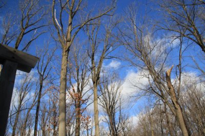 ir-110208_15-33_0875.jpg