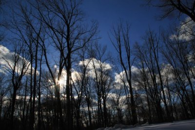 ir-110208_15-33_0876.jpg