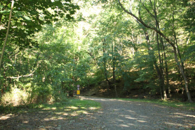 ir-120911__4801_16-56.jpg