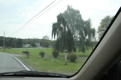 ir-121014__5669_12-45.jpg