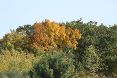 ir-121014__5708_14-34.jpg