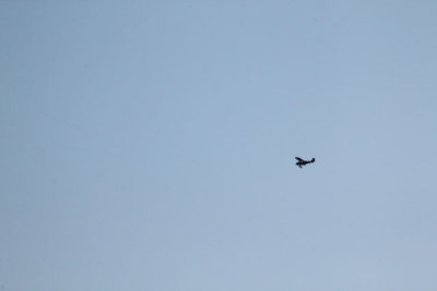 ir-121014__5710_14-35.jpg