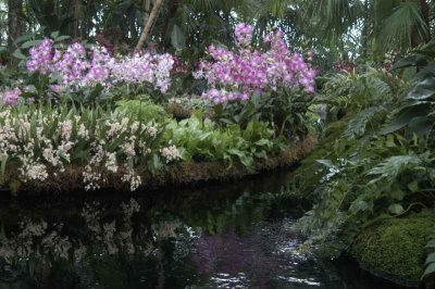 ir-DSC_0018.jpg