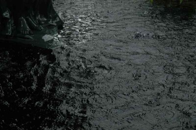ir-DSC_0078.jpg