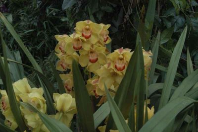 ir-DSC_0122.jpg