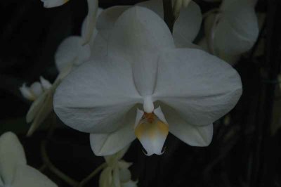 ir-DSC_0130.jpg