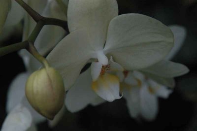ir-DSC_0133.jpg