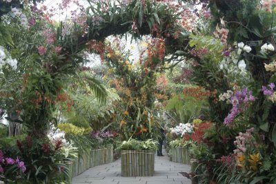 NY Botanical Garden Orchid Exhibit