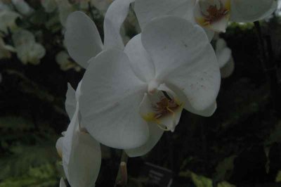 ir-DSC_0149.jpg