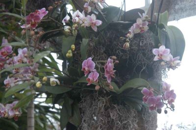 ir-DSC_0170.jpg