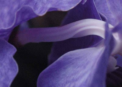 ir-DSC_0137_6x7L.jpg