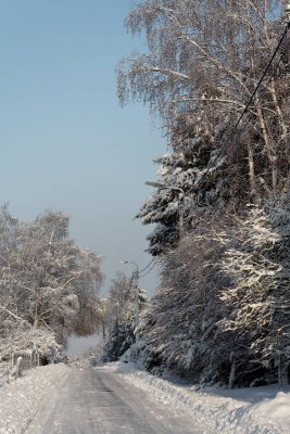 _MG_0591_web.jpg
