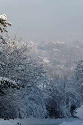 _MG_0596_web.jpg