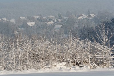 _MG_0609_web.jpg